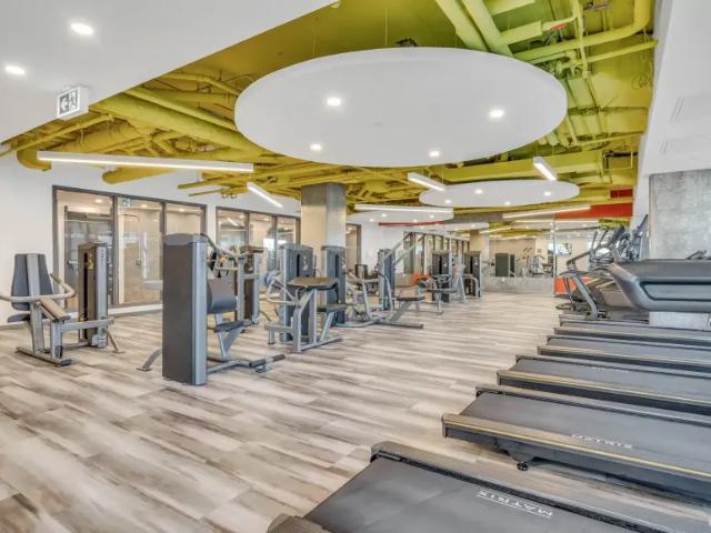 For Rent 1 Bedroom Shared Living/roommate Ottawa Ottawa DS97833872