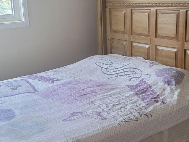 For Rent 1 Bedroom Shared Living/roommate Oshawa ON DS96648243