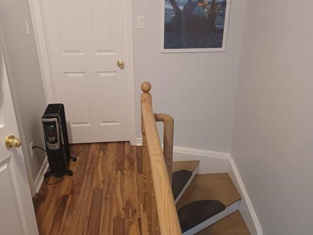 For Rent 1 Bedroom Shared Living/roommate Ajax ON DLS96647380