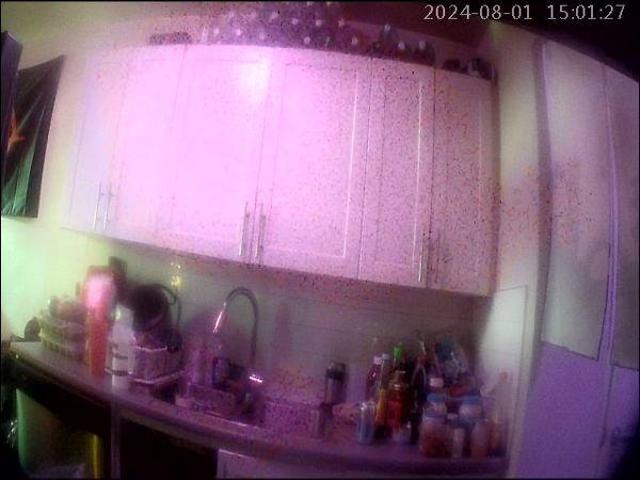 For Rent 1 Bedroom Shared Living/roommate Brampton ON DLS97420681