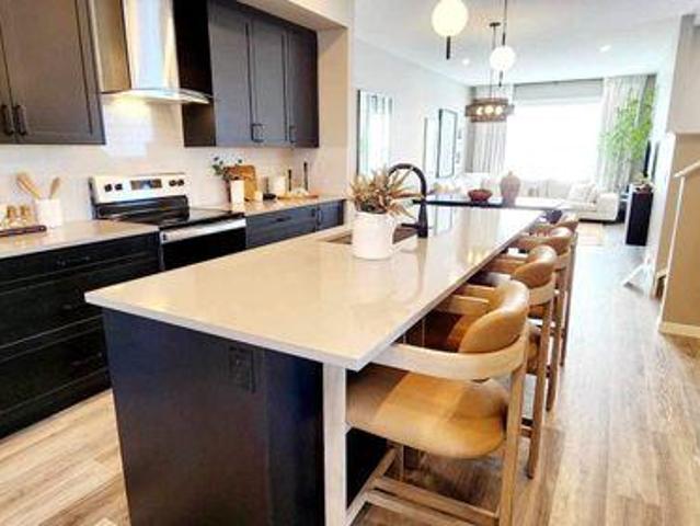 For Rent 1 Bedroom Shared Living/roommate Calgary AB DS97417955