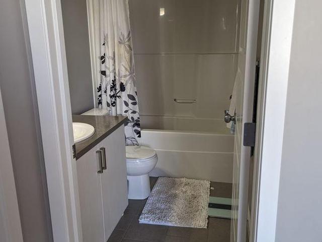 For Rent 1 Bedroom Shared Living/roommate Edmonton AB DS96648961