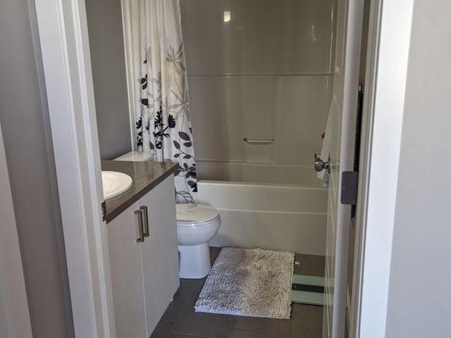 For Rent 1 Bedroom Shared Living/roommate Edmonton AB DS96648965