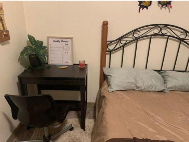 For Rent 1 Bedroom Shared Living/roommate Edmonton AB DS97416919