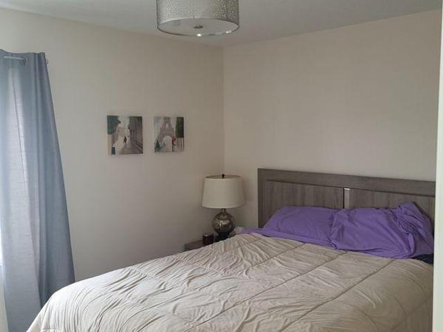For Rent 1 Bedroom Shared Living/roommate Hamilton ON DS97421593