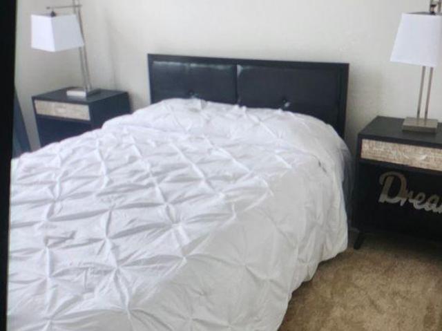 For Rent 1 Bedroom Shared Living/roommate Pickering ON DS96649166
