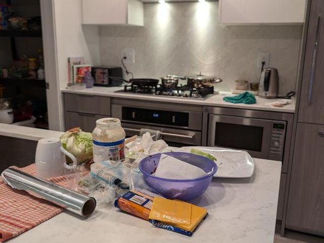 For Rent 1 Bedroom Shared Living/roommate Surrey BC DLS97421583
