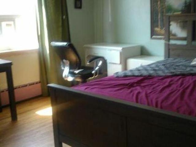 For Rent 1 Bedroom Shared Living/roommate Toronto ON DS97414942