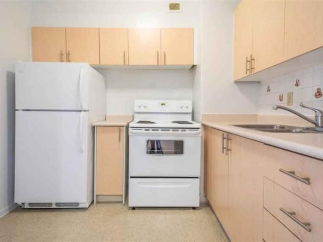 For Rent 1 Bedroom Shared Living/roommate Toronto Toronto DLS97833079