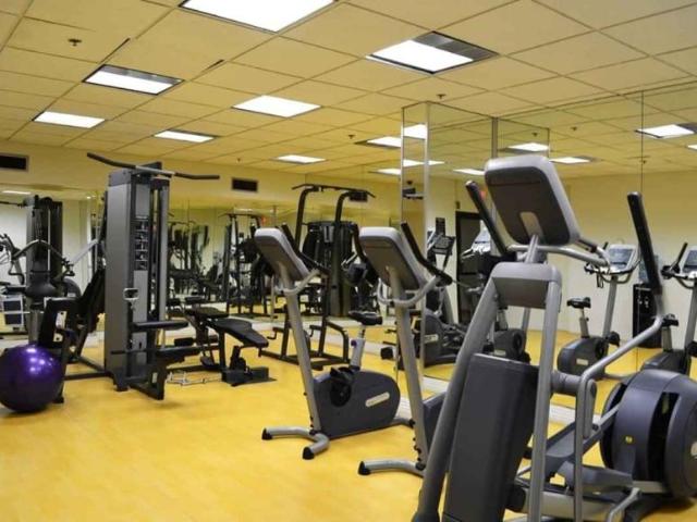 For Rent 1 Bedroom Shared Living/roommate Toronto Toronto DLS97833500