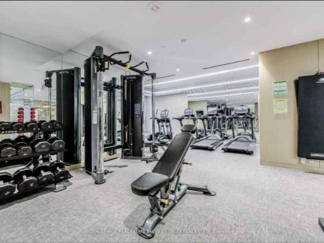 For Rent 1 Bedroom Shared Living/roommate Toronto Toronto DLS99489899