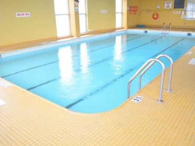 For Rent 1 Bedroom Shared Living/roommate Toronto Toronto DLS99499823