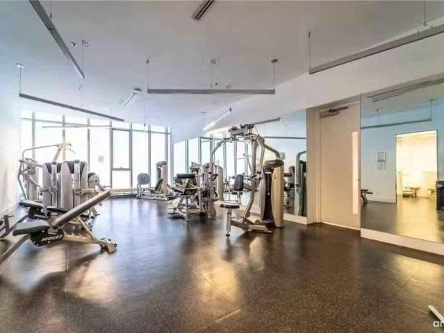 For Rent 1 Bedroom Shared Living/roommate Toronto Toronto DS97832218