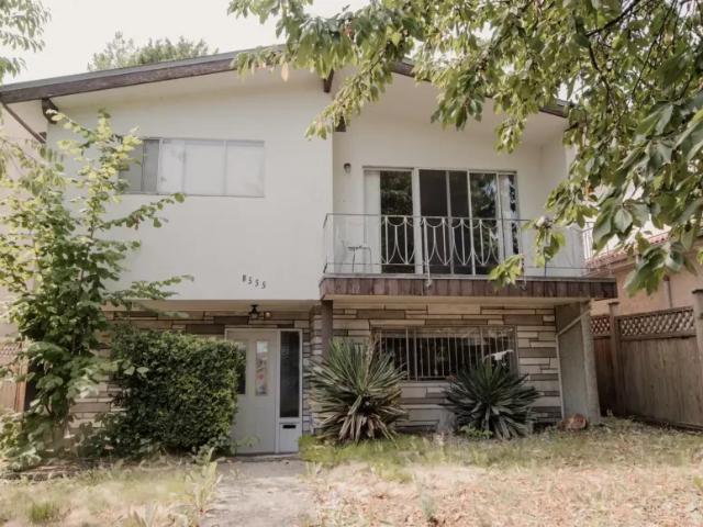 For Rent 1 Bedroom Shared Living/roommate Vancouver Vancouver DLS99500322