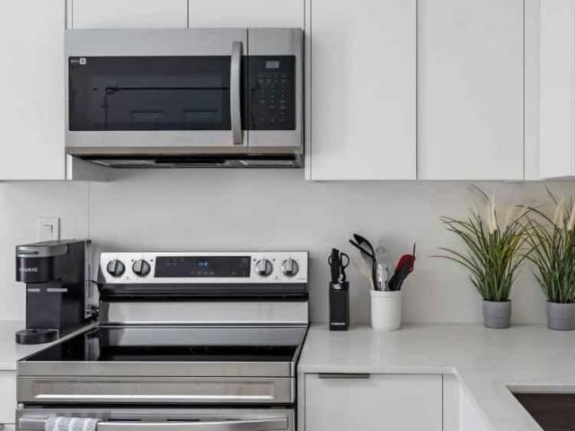 For Rent 1 Bedroom Shared Living/roommate Vancouver Vancouver DS97833800