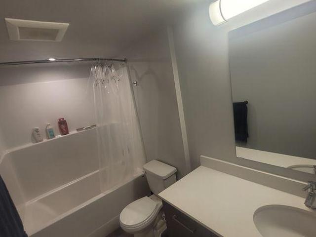 For Rent 1 Bedroom Shared Living/roommate Victoria BC DS97415585