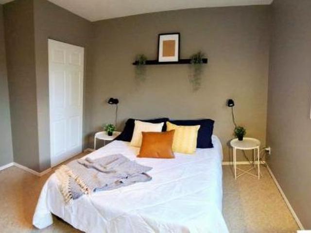 For Rent 1 Bedroom Shared Living/roommate Waterloo Waterloo DS97761384