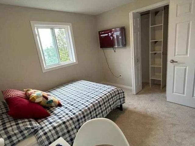 For Rent 1 Bedroom Shared Living/roommate Waterloo Waterloo DS99490583
