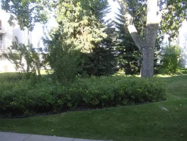 For Rent 1 Bedroom Townhouse Calgary AB DS104179572