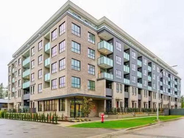 For Rent! 1 BR Th Avenue, Surrey, BC, V4N 6W8 lease for leas.