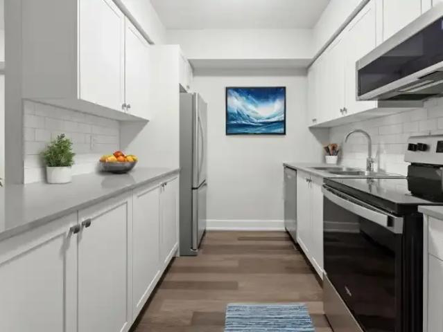 For Rent 1.5 Bedroom Apartment Kingston ON DLS102017963