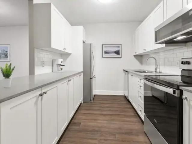 For Rent 1.5 Bedroom Apartment Kingston ON DS102242536