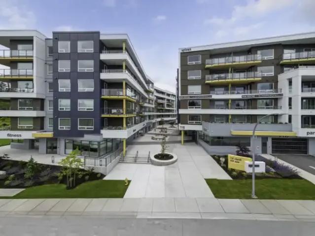 For Rent 1.5 Bedroom Apartment Powell River BC DS100170451