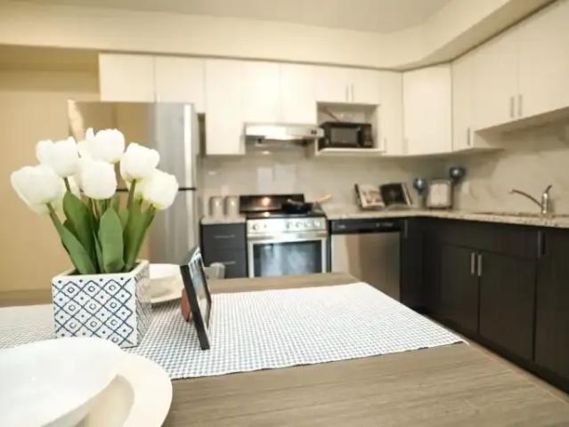 For Rent 1.5 Bedroom Apartment Waterloo ON DLS99070449