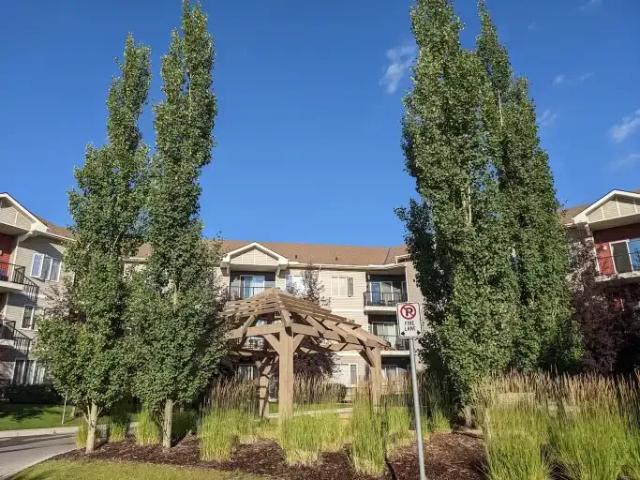For Rent 2 Bedroom Condo Calgary AB DLS101773193