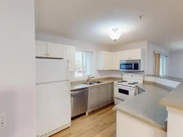 For Rent 2 Bedroom Condo Calgary AB DLS102846495