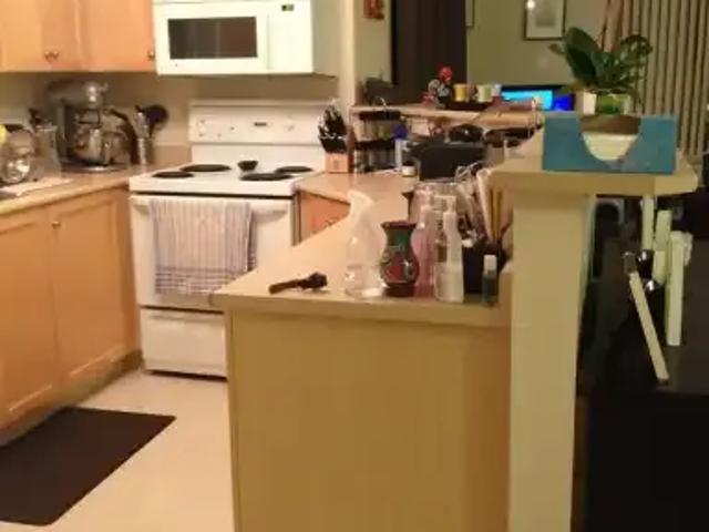 For Rent 2 Bedroom Condo Calgary AB DS103411226