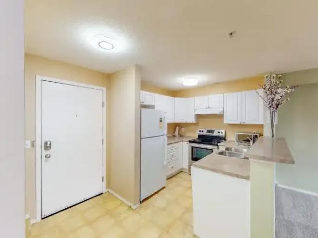 For Rent 2 Bedroom Condo Calgary AB DS103920521