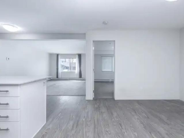 For Rent 2 Bedroom Condo Calgary AB DS104180354
