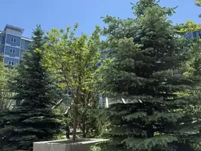For Rent 2 Bedroom Condo Calgary AB DS104181857
