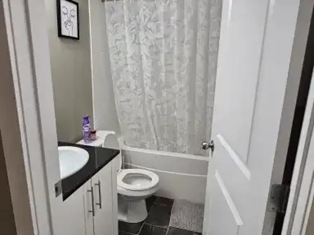 For Rent 2 Bedroom Condo Calgary AB DS104182585