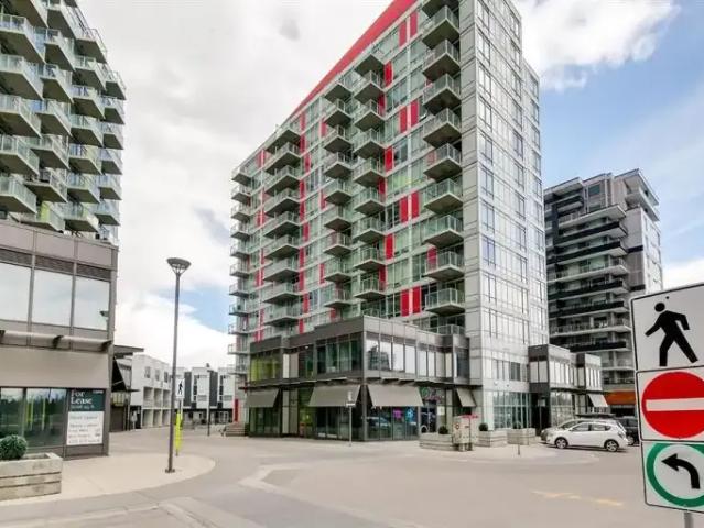 For Rent 2 Bedroom Condo Calgary AB DS104182710