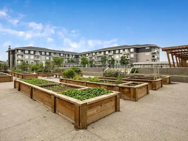 For Rent 2 Bedroom Condo Calgary AB DS104224442