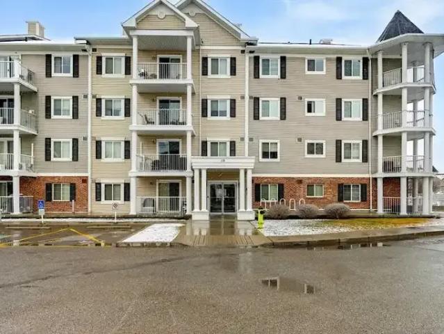 For Rent 2 Bedroom Condo Calgary AB DS104362698