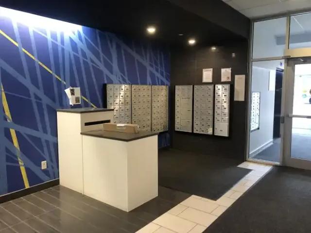 For Rent 2 Bedroom Condo Edmonton AB DS101687113