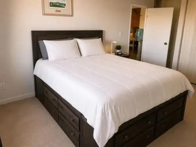 For Rent 2 Bedroom Condo Edmonton AB DS102715409