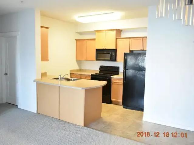 For Rent 2 Bedroom Condo Edmonton AB DS104711591