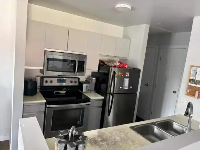 For Rent 2 Bedroom Condo Edmonton AB DS104782649