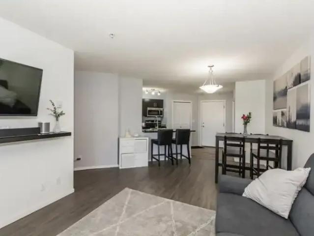 For Rent 2 Bedroom Condo Edmonton AB DS104180397