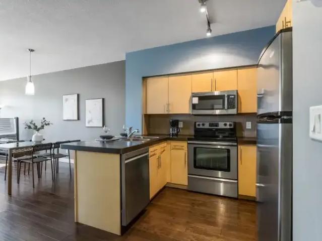 For Rent 2 Bedroom Condo Edmonton AB DS104181425