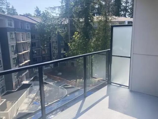 For Rent 2 Bedroom Condo Surrey BC DS102846215