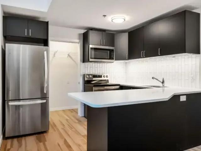 For Rent 2 Bedroom Condo Winnipeg MB DLS101015562