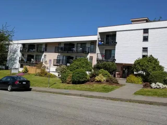 For Rent 2 Bedroom Apartment New Westminster BC DS103694478
