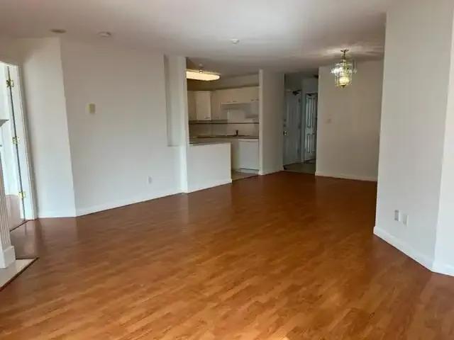 For Rent 2 Bedroom Apartment Burnaby BC DS102952093