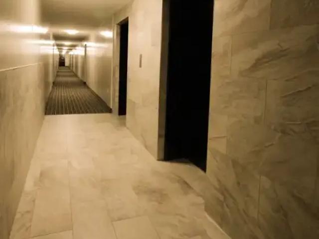 For Rent 2 Bedroom Apartment Brampton ON DS97630443