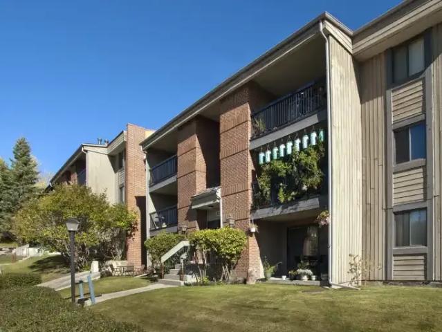 For Rent 2 Bedroom Apartment Calgary AB DLS100006917
